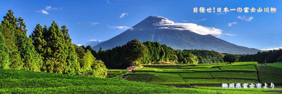 目指せ日本一！富士山をお題に川柳を詠もう