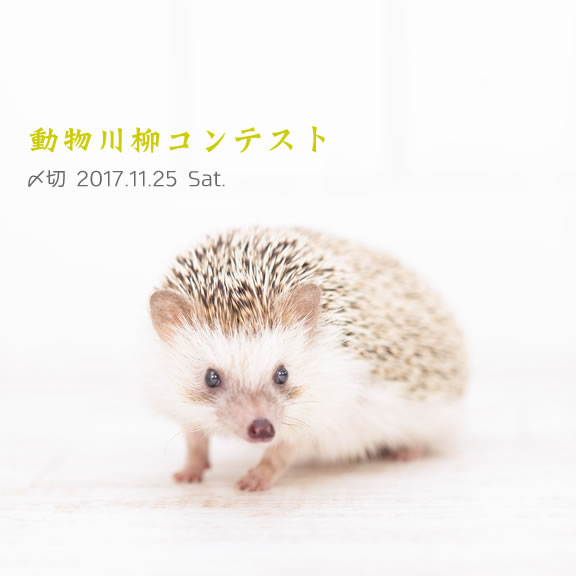 みんな大好き！動物川柳コンテスト