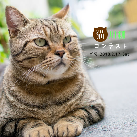 戌年だけど。猫川柳コンテスト